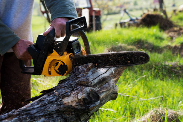 Best Lawn Watering Services  in Devon, PA